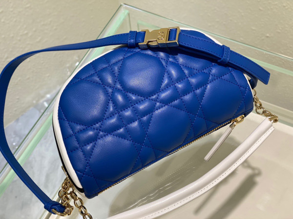 D*or small vibe hobo bag