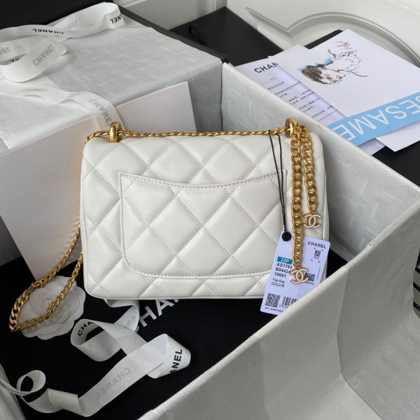 CL FLAP BAG