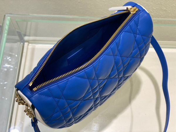D*or medium vibe hobo bag