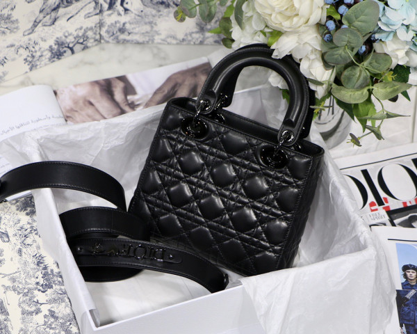 lady D*or my abcD*or bag-20cm