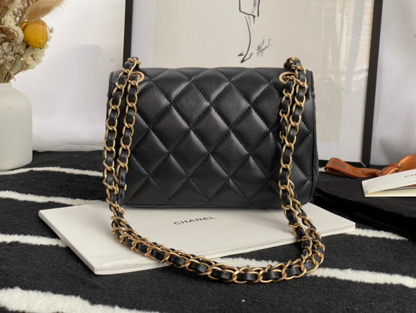 CL FLAP BAG