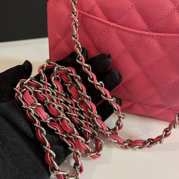 CL FLAP BAG 20CM