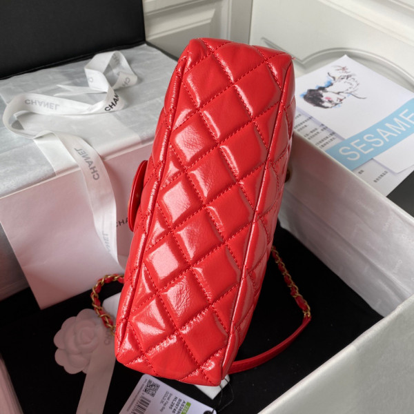 CL HOBO HANDBAG