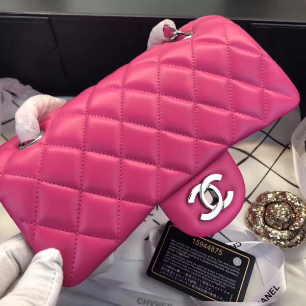 CL Flap Bag Lambskin 20CM
