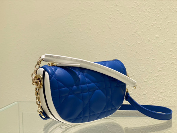 D*or small vibe hobo bag