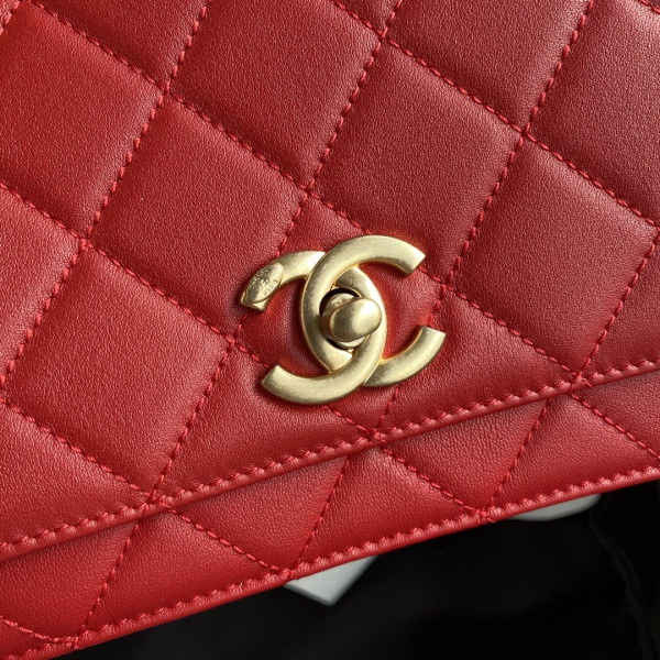 CL FLAP BAG