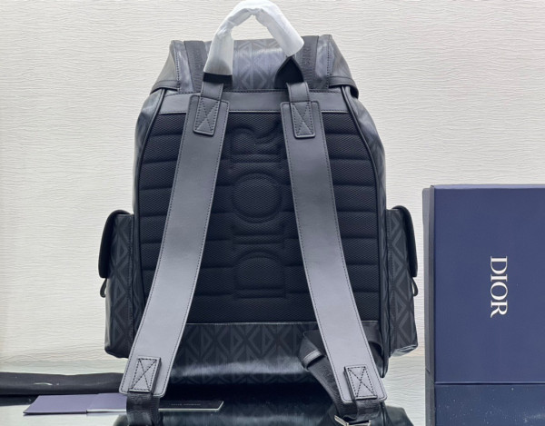 D*or hit the road backpack