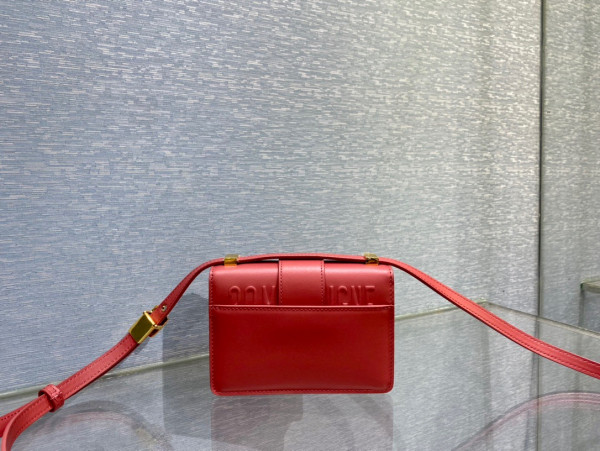 D*or 30 montaigne bag