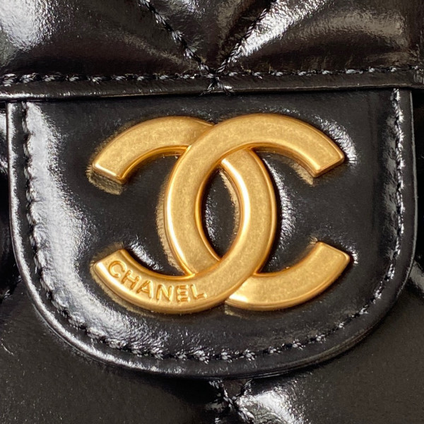 CL HOBO HANDBAG