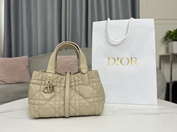 D*or small toujours bag