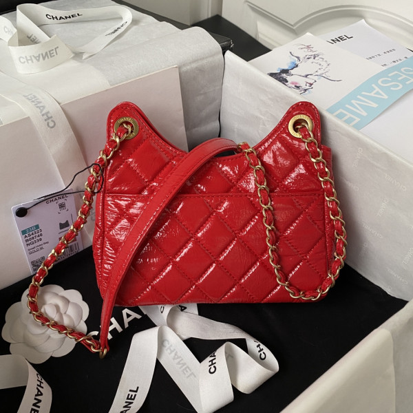 CL SMALL HOBO HANDBAG