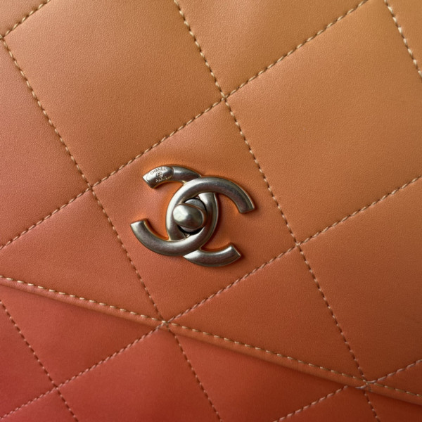 CL LARGE HOBO BAG