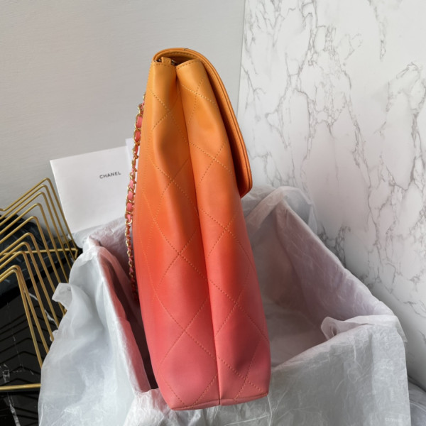 CL LARGE HOBO BAG